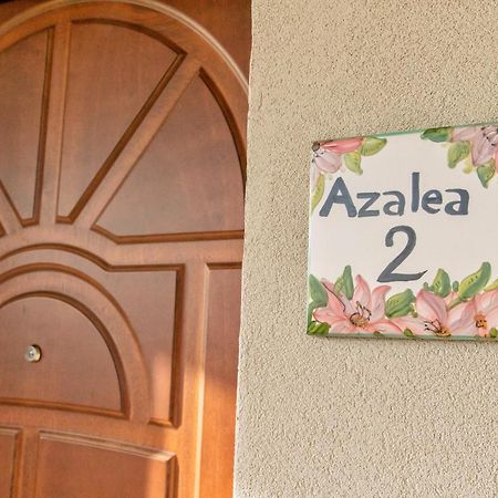 Il Mandorlo Fiorito Bed And Breakfast Ogliastro Cilento Exterior photo
