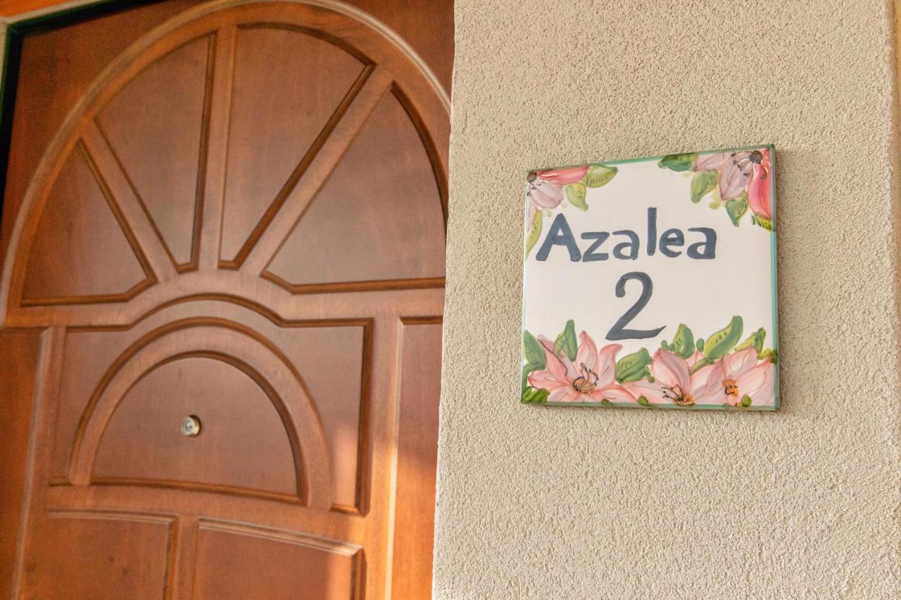 Il Mandorlo Fiorito Bed And Breakfast Ogliastro Cilento Exterior photo